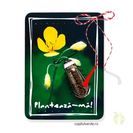 martisor-plante-rostopasca