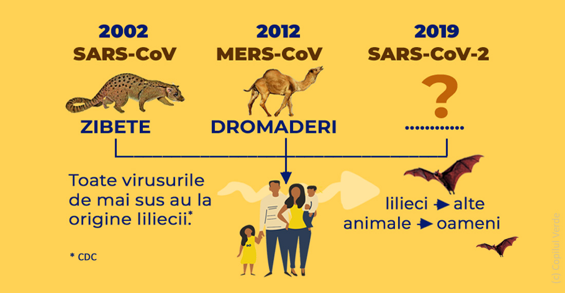 animale intermediari coronavirus